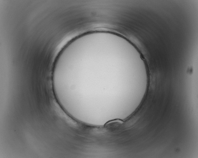 X0000111781384200908131338