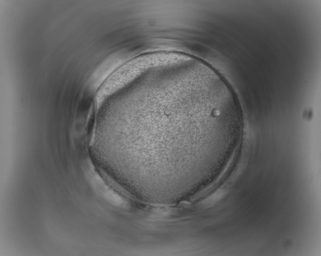 X0000111781385200908131338