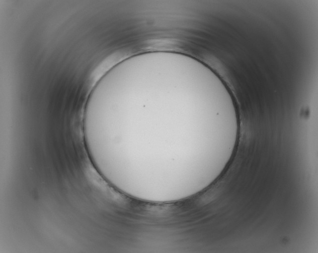 X0000111781386200908131338