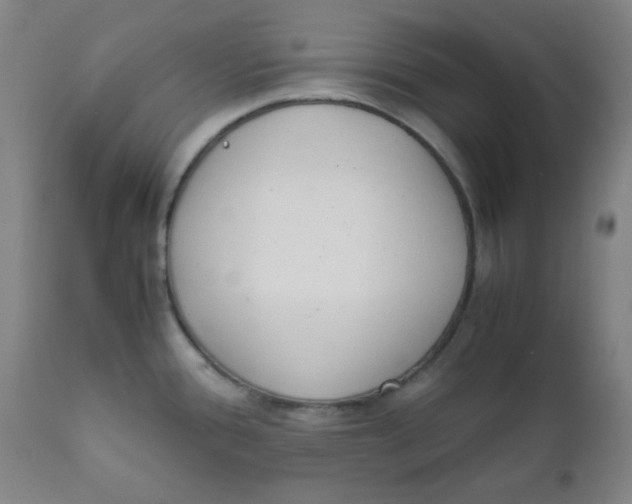 X0000111781388200908131338