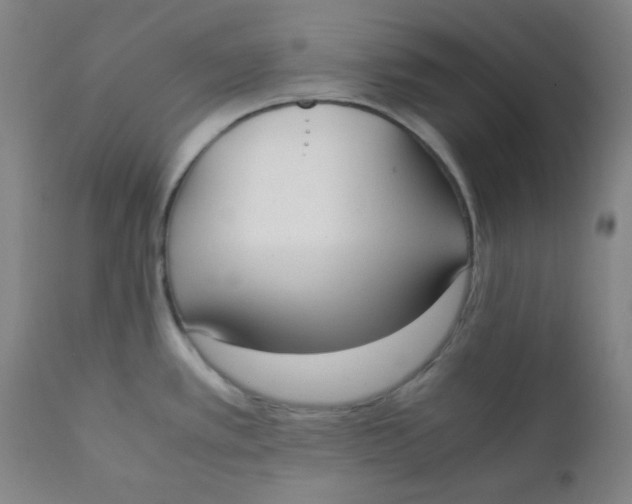 X0000111781389200908131338