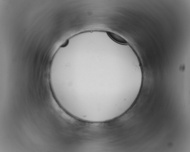 X0000111781390200908131338