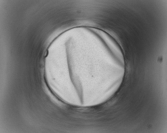 X0000111781391200908131338