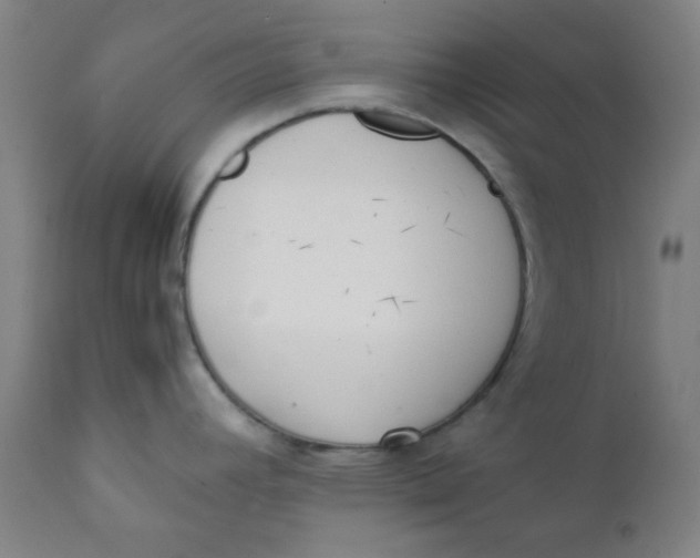 X0000111781392200908131338