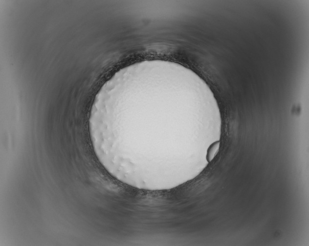 X0000111781393200908131337