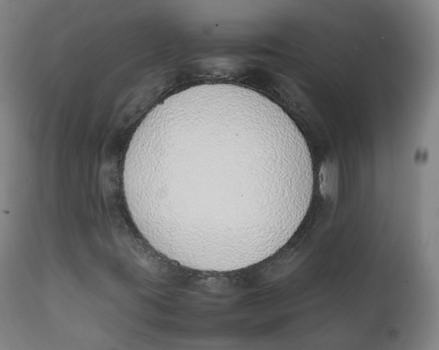 X0000111781395200908131337