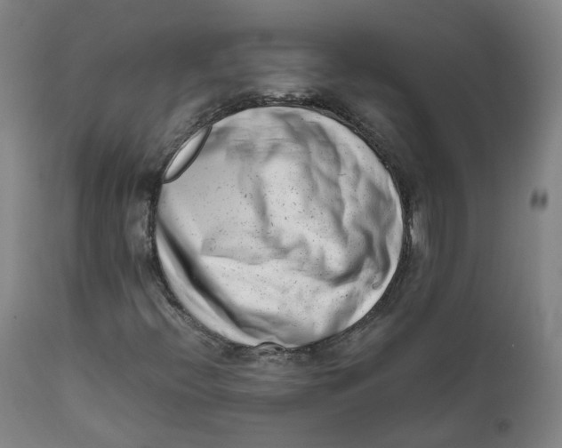 X0000111781396200908131337