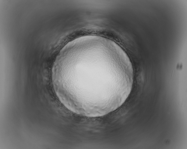 X0000111781397200908131337