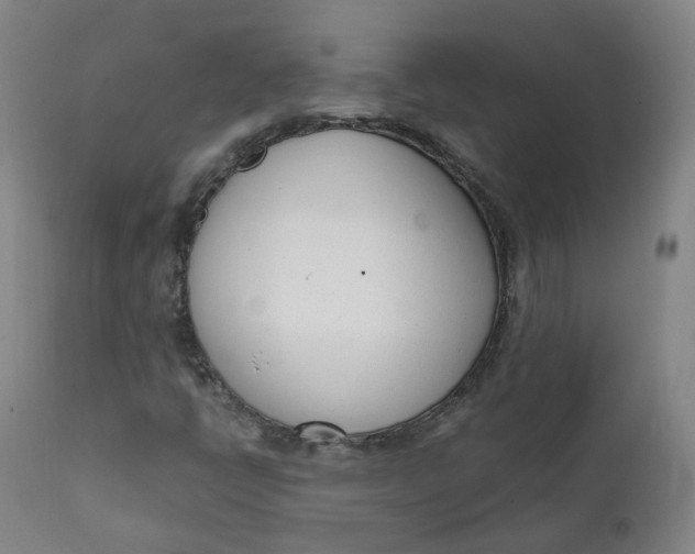 X0000111781398200908131337