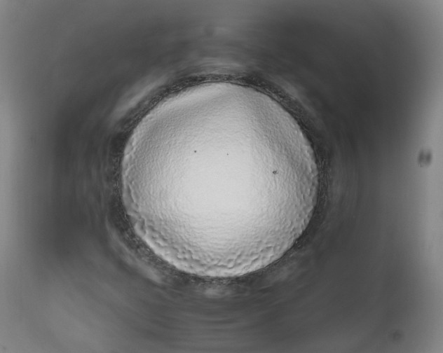 X0000111781399200908131337