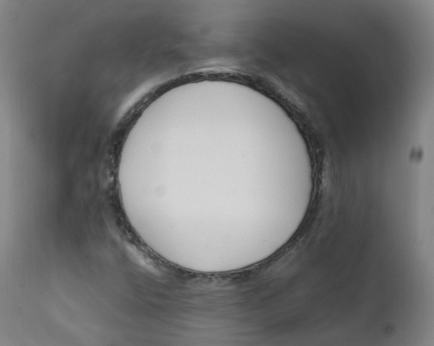 X0000111781400200908131337