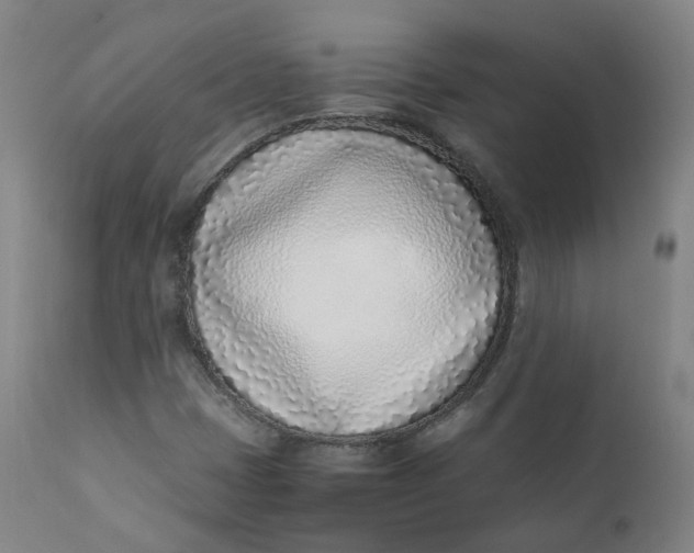 X0000111781401200908131337