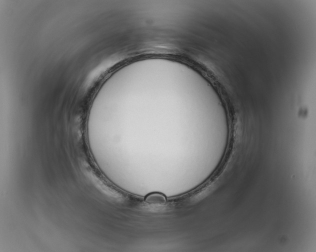 X0000111781402200908131337