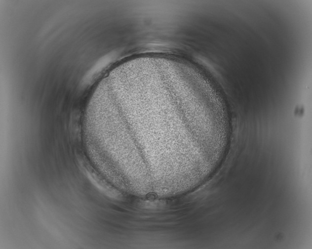 X0000111781403200908131337