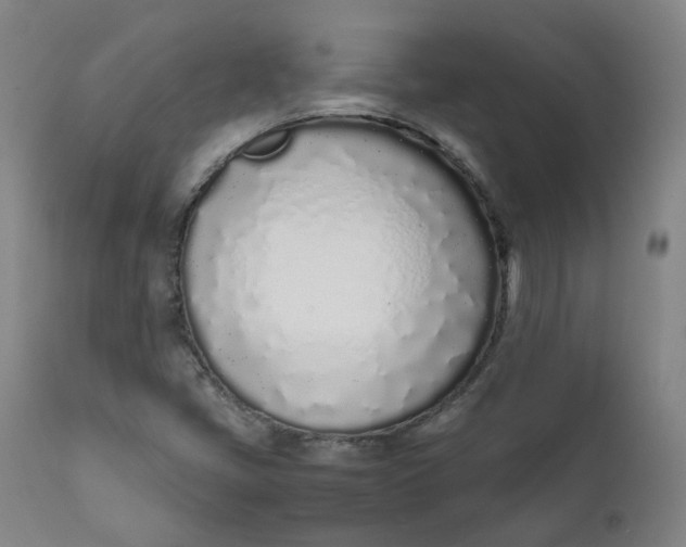 X0000111781405200908131337