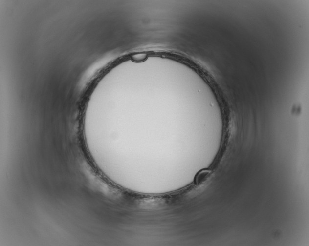 X0000111781406200908131337