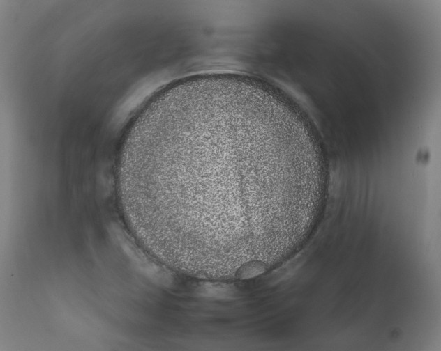 X0000111781407200908131337