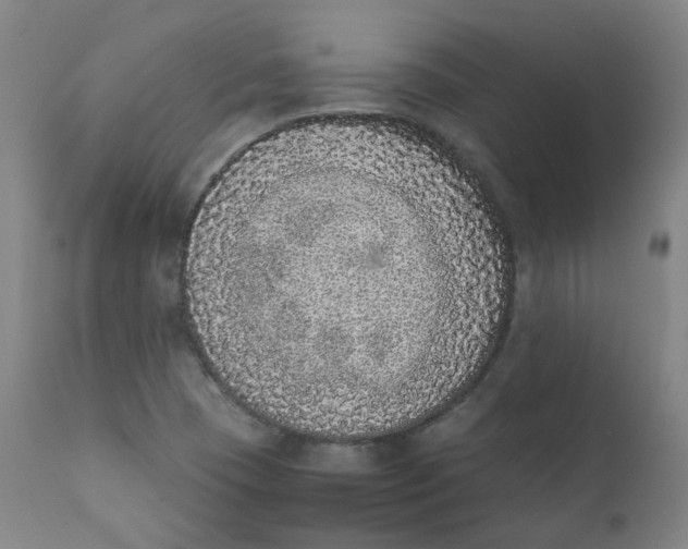 X0000111781409200908131337