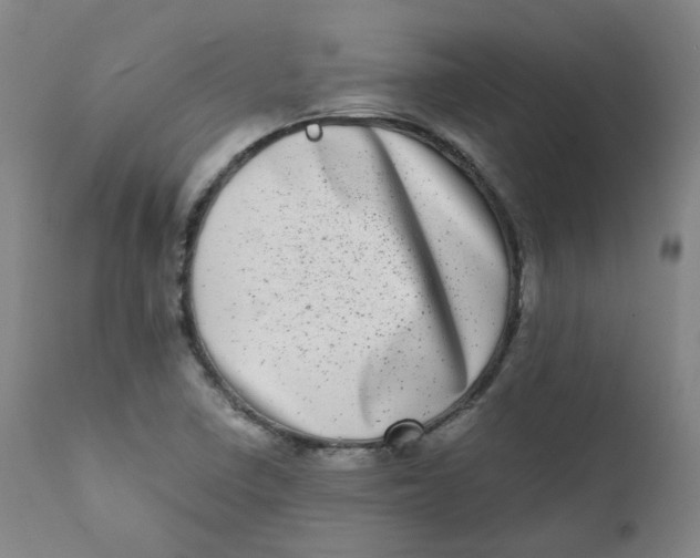 X0000111781410200908131337