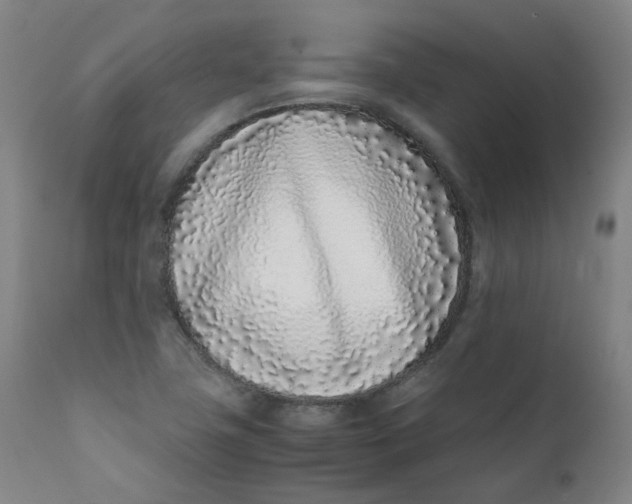 X0000111781411200908131337