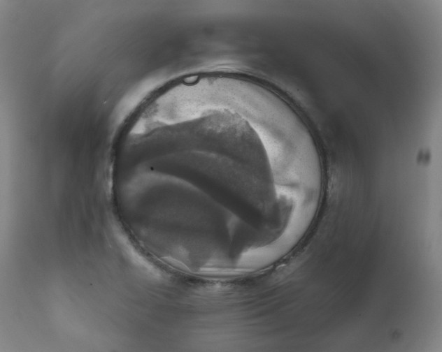 X0000111781414200908131337