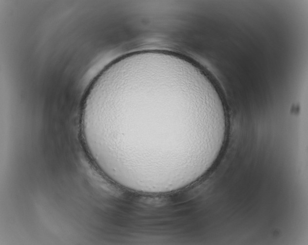 X0000111781415200908131337