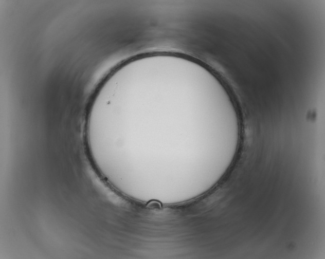 X0000111781416200908131337