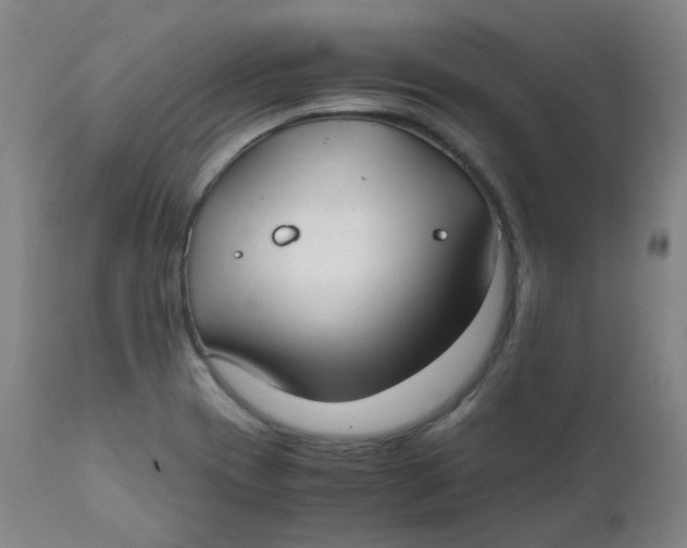 X0000111781417200908131338
