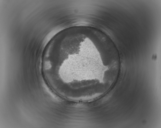 X0000111781418200908131338