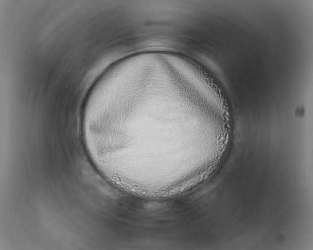 X0000111781419200908131338