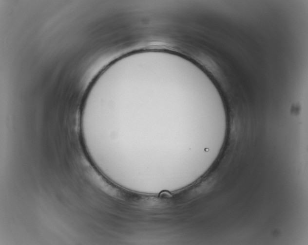 X0000111781420200908131338
