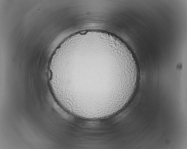 X0000111781421200908131338