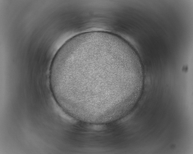 X0000111781423200908131338