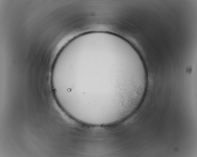 X0000111781424200908131338