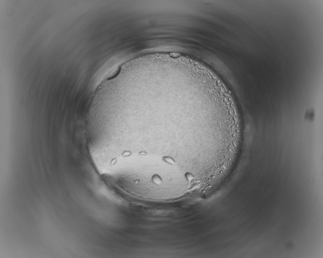 X0000111781425200908131338