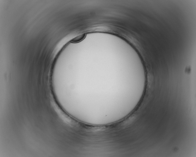 X0000111781426200908131338