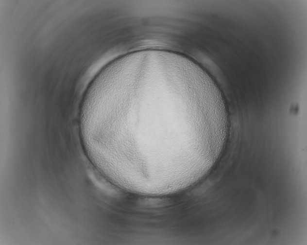 X0000111781427200908131338