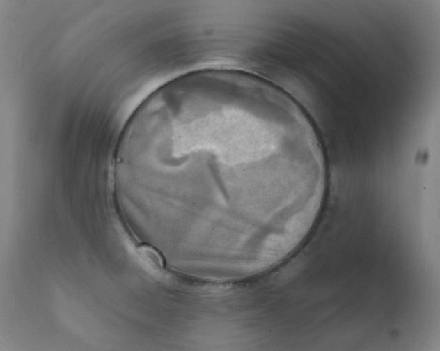X0000111781428200908131338