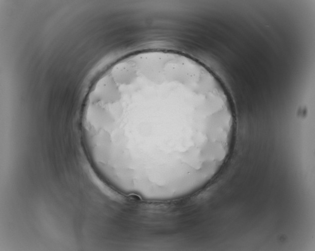 X0000111781429200908131338