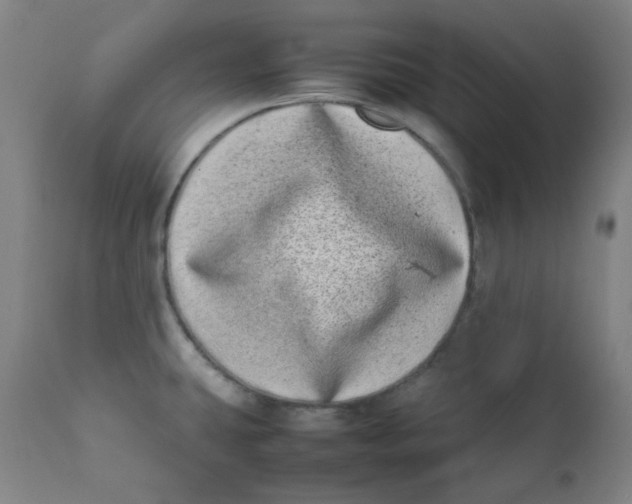 X0000111781431200908131338