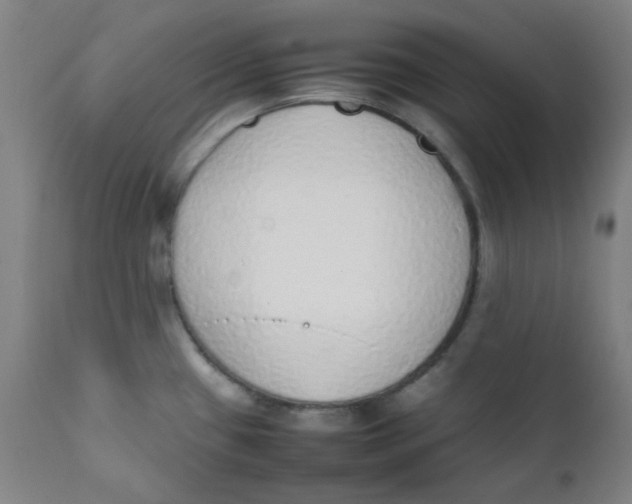 X0000111781433200908131338