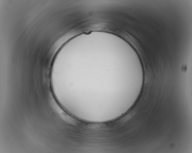 X0000111781434200908131338