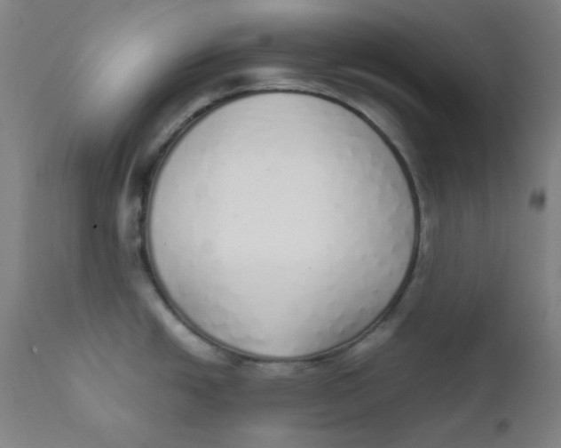 X0000111781438200908131338