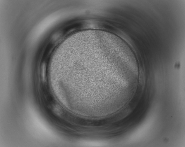 X0000111781439200908131338