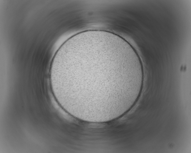 X0000111781440200908131338