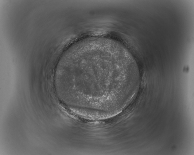 X0000111781441200908131337