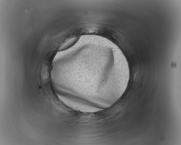 X0000111781442200908131337