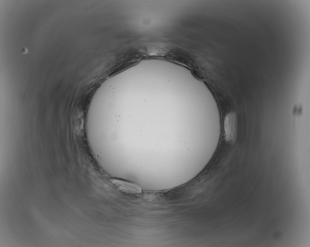 X0000111781443200908131337