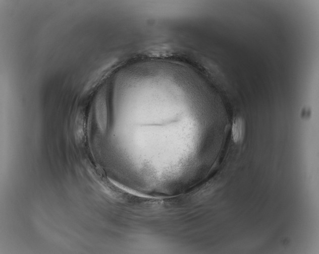 X0000111781444200908131337
