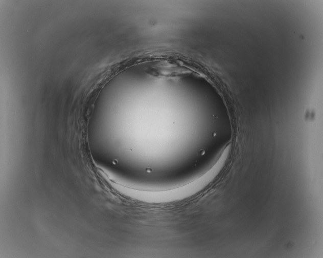 X0000111781445200908131337